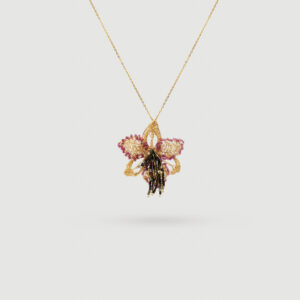 Collar Cattleya